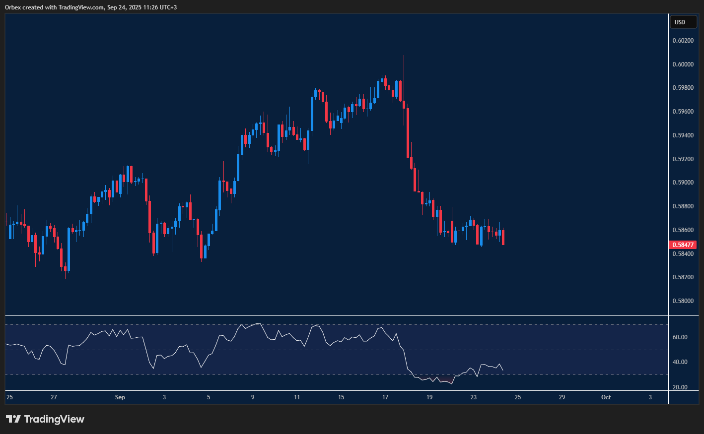 NZDUSD slips lower but finds key support on the chart