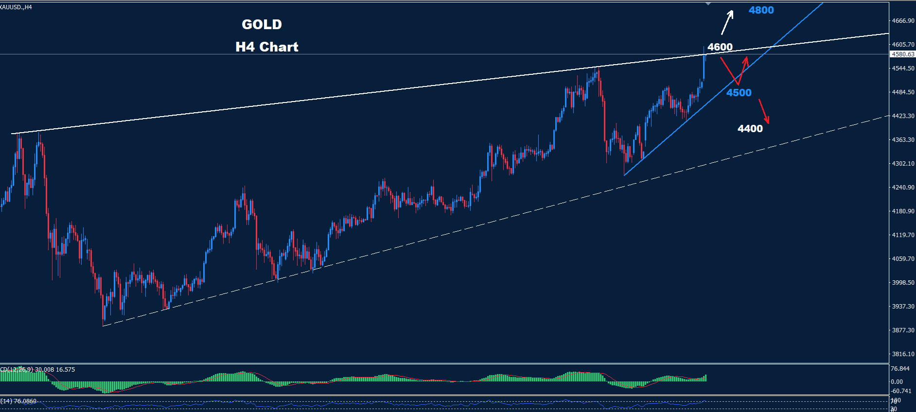 Gold –12.01.2026